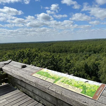 *** Domaine Des Noyers - Proche Centre Ville Châteauneuf-sur-Loire Екстериор снимка